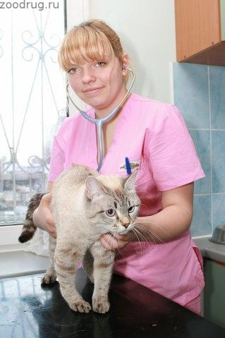Балакина Екатерина Александровна - ветеринарный врач анестезиолог-реабилиолог